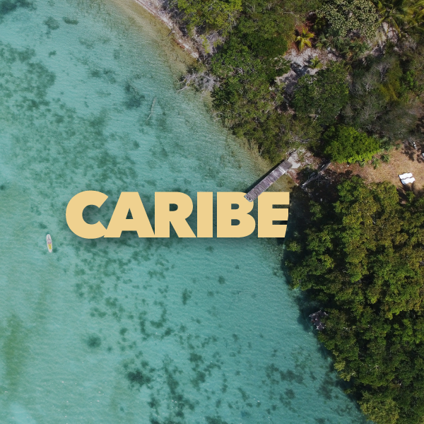 Destino Caribe Horizon Travel