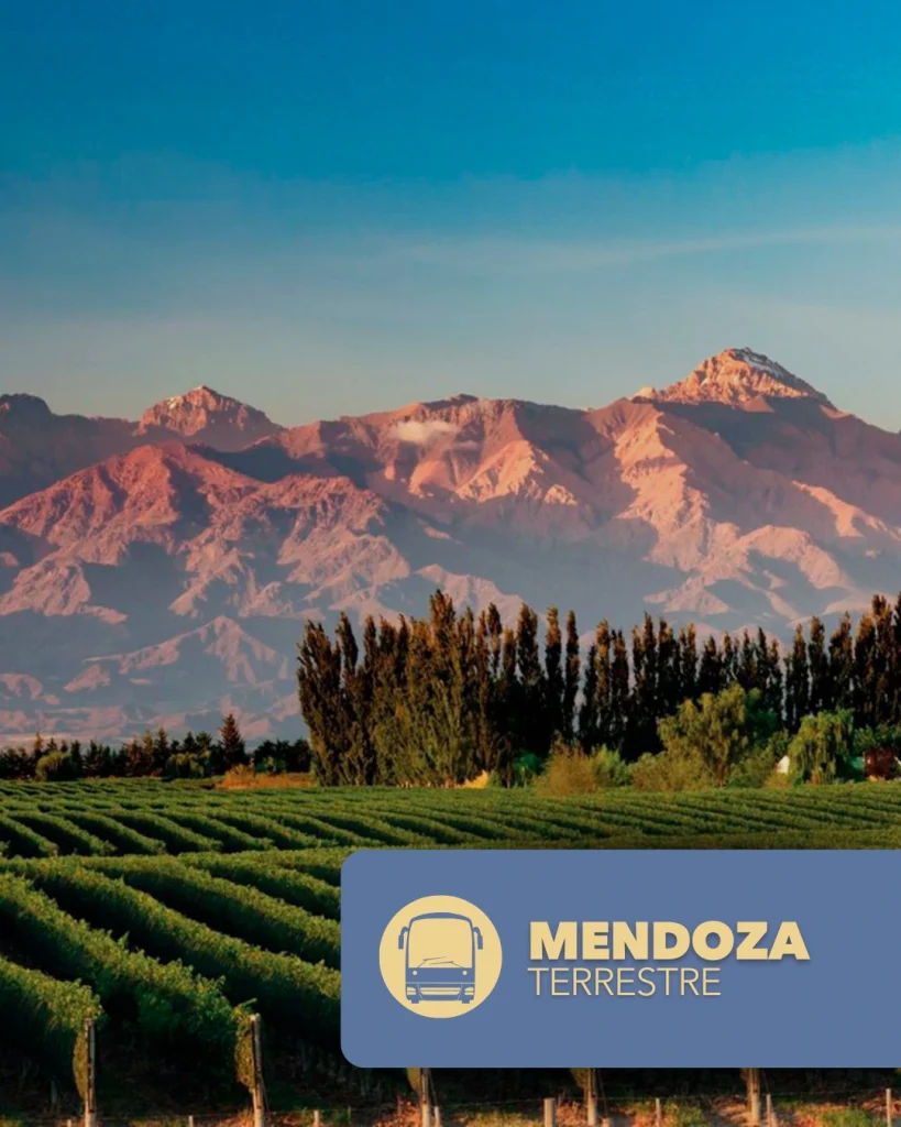 Mendoza – Terrestre